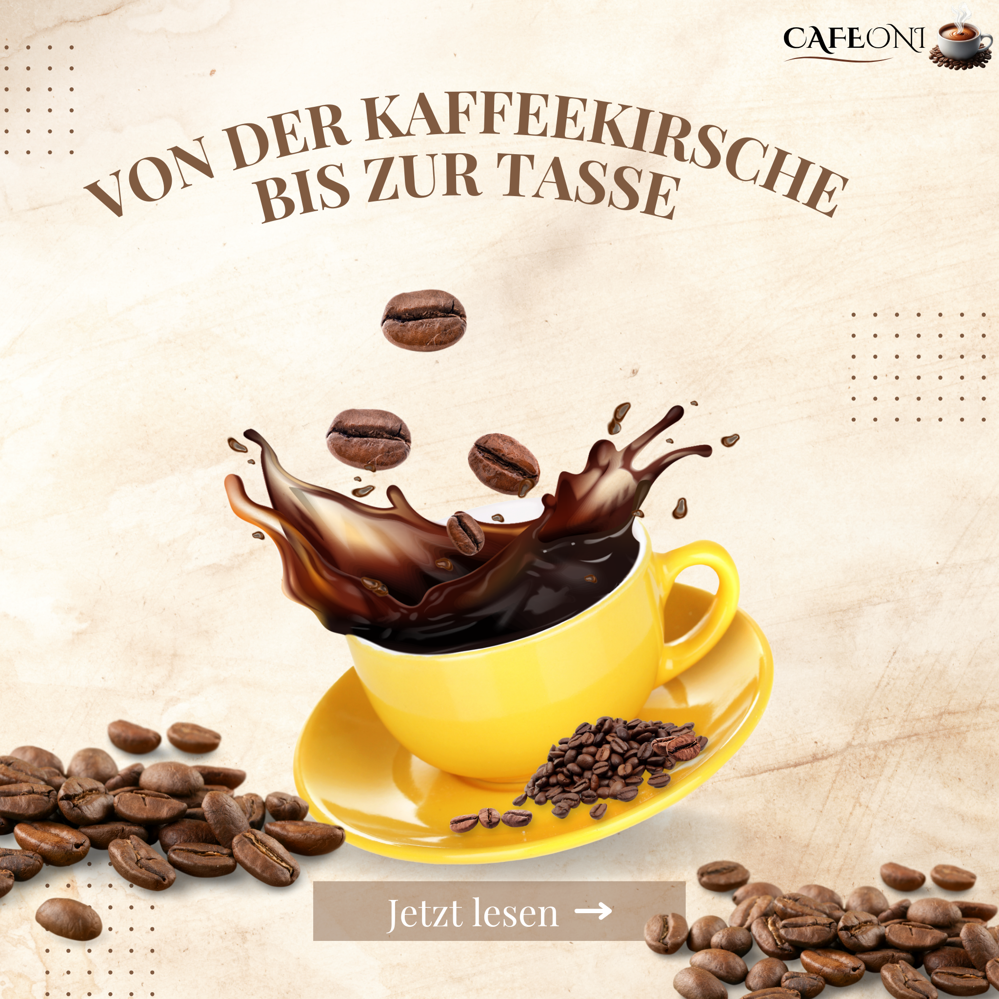 Von der Kaffeekirsche bis zur Tasse: Ein Blick auf die Kaffeeernte